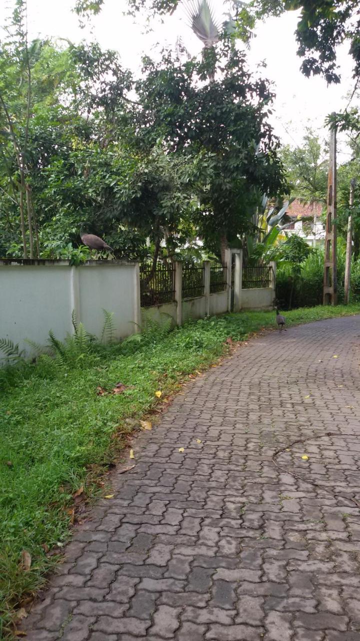 Vero Homestay Galle Exterior foto